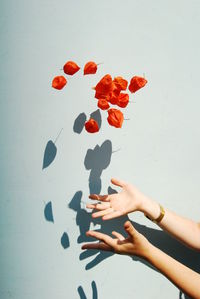 Hands throwing winter cherries against blue background