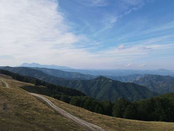 environment