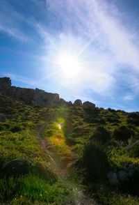 Scenic view of landscape against sky on sunny day