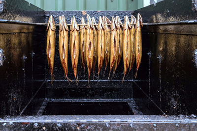 Close-up of food on barbecue grill