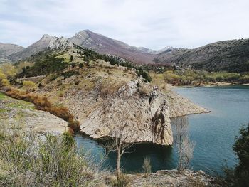 Close-up of horse by mountain against sky