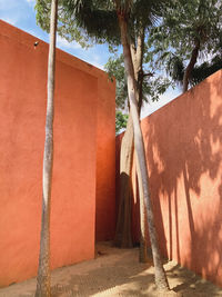 Shadow of trees on wall