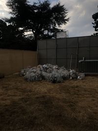 Garbage on field by trees against sky
