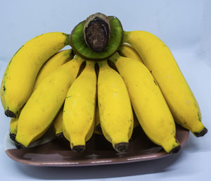 Close-up of fruits in plate