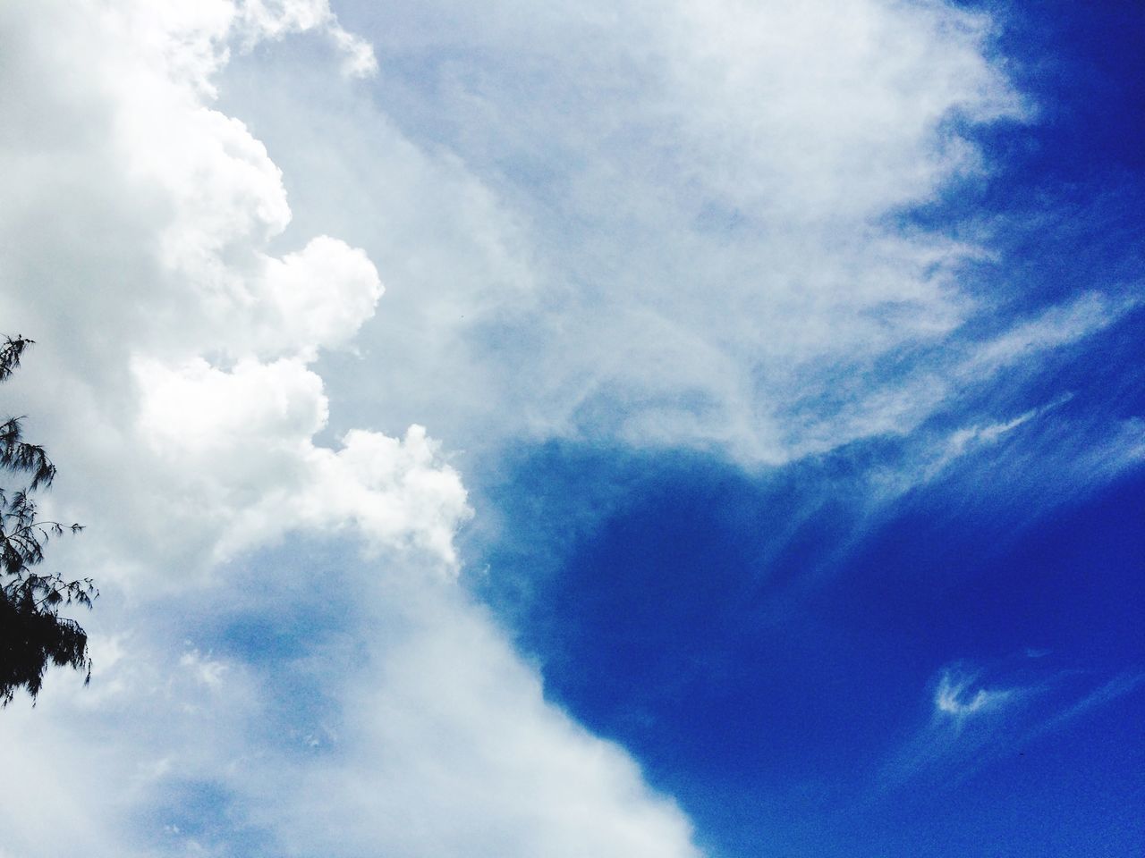 low angle view, sky, cloud - sky, blue, cloudy, beauty in nature, tranquility, cloud, nature, scenics, cloudscape, tranquil scene, sky only, backgrounds, day, idyllic, outdoors, weather, no people, full frame