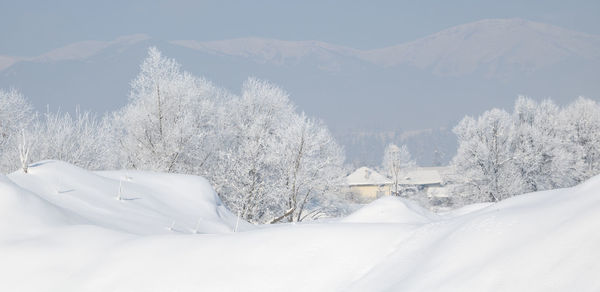 Close-up of snow on mountain against sky