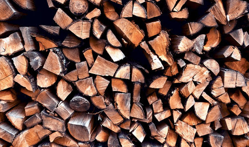 Full frame shot of logs in forest