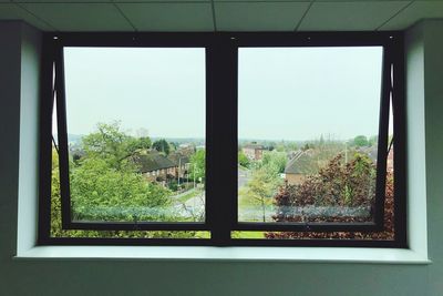 Trees seen through glass window