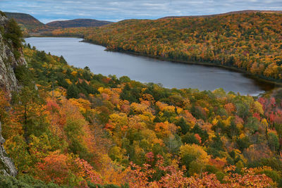 High angle view of river amidst trees