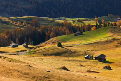 Scenic view of landscape