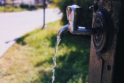 Close-up of water from faucet in yard