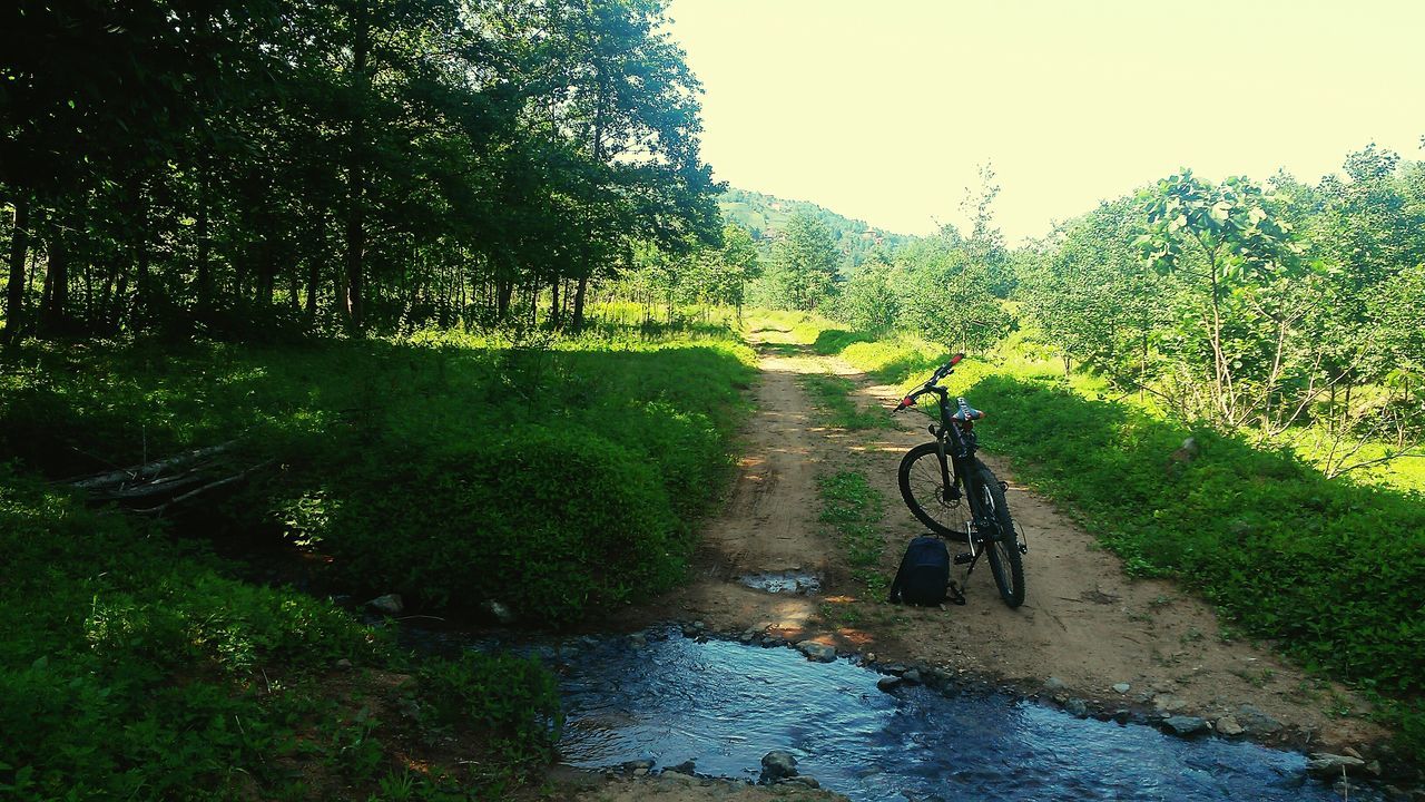 tree, growth, transportation, tranquility, plant, grass, nature, the way forward, water, green color, clear sky, tranquil scene, bicycle, sky, beauty in nature, stream, dirt road, scenics, footpath, day