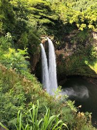 Scenic view of waterfall in forest