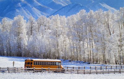 Scenic view of snow covered landscape