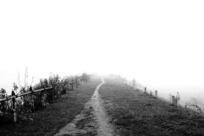 Panoramic view of agricultural field against clear sky