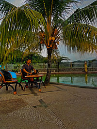 Man sitting on bench in park