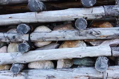 Full frame shot of logs in forest