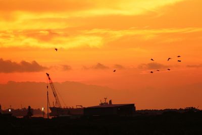 Silhouette birds flying over orange sky