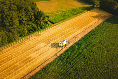 A modern combine harvester working on wheat field, aerial view