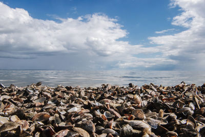 Rocks on beach against sky