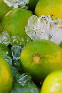 Close-up of lemon slice