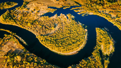 High angle view of rock