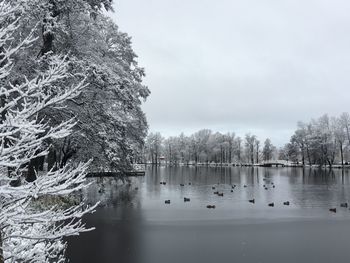 Scenic view of lake against sky during winter