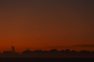 Scenic view of silhouette trees against orange sky