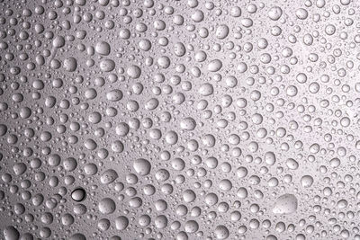 Drops of water on a transparent gray background.