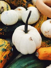 High angle view of pumpkins for sale in market