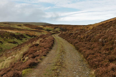 Scenic view of road amidst field against sky