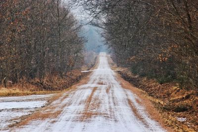 Road passing through forest during winter