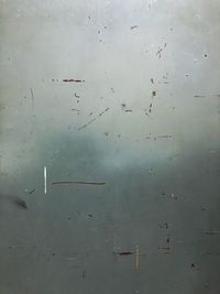 High angle view of birds in lake