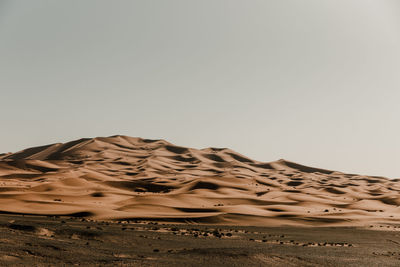 Great desert of sand dunes of the sahara