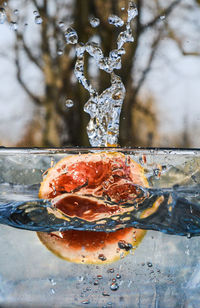 Close-up of drink in water