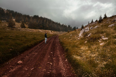 Person on road amidst trees against sky