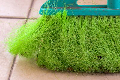 Close-up of fresh green leaf