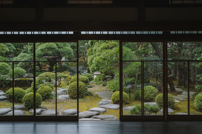 Trees seen through glass window
