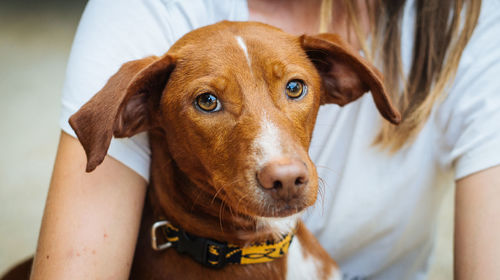 Midsection of woman holding dog outdoors