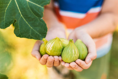 Close-up of hand holding fruit