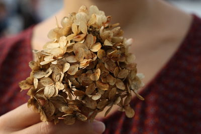 Close-up of hand holding flowers