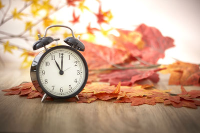 Close-up of autumn leaves on table