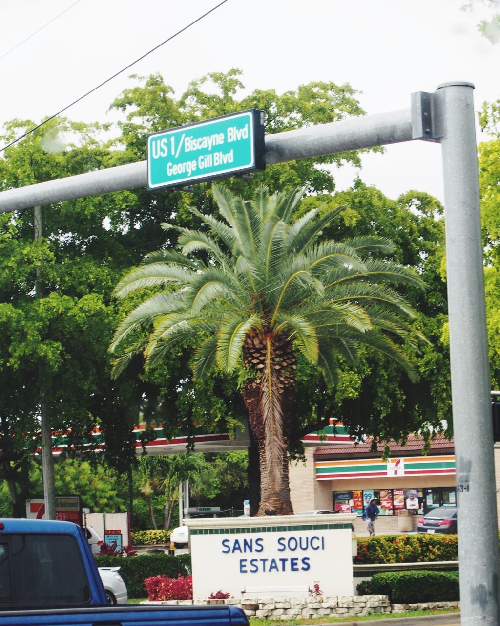 INFORMATION SIGN BY PALM TREES AND PLANTS