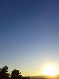 Low angle view of silhouette trees against clear sky during sunset