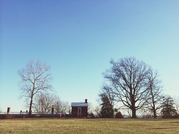 Bare trees on landscape against clear blue sky