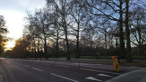 Road amidst bare trees against sky