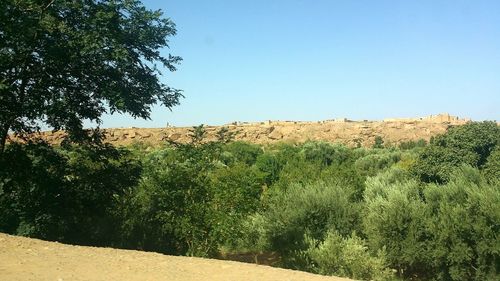 Scenic view of landscape against clear sky