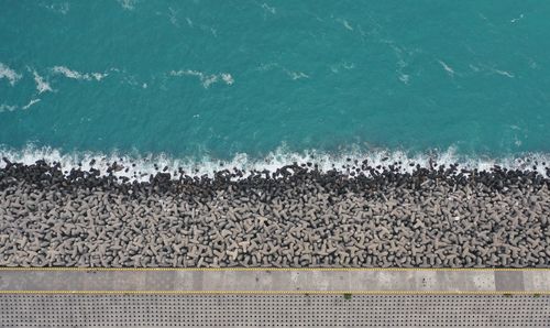 High angle view of sheep on beach