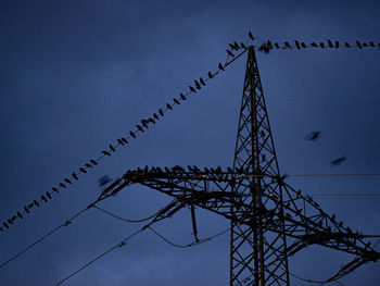 Low angle view of silhouette birds against sky at dusk