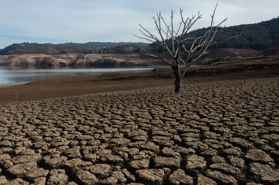 drought